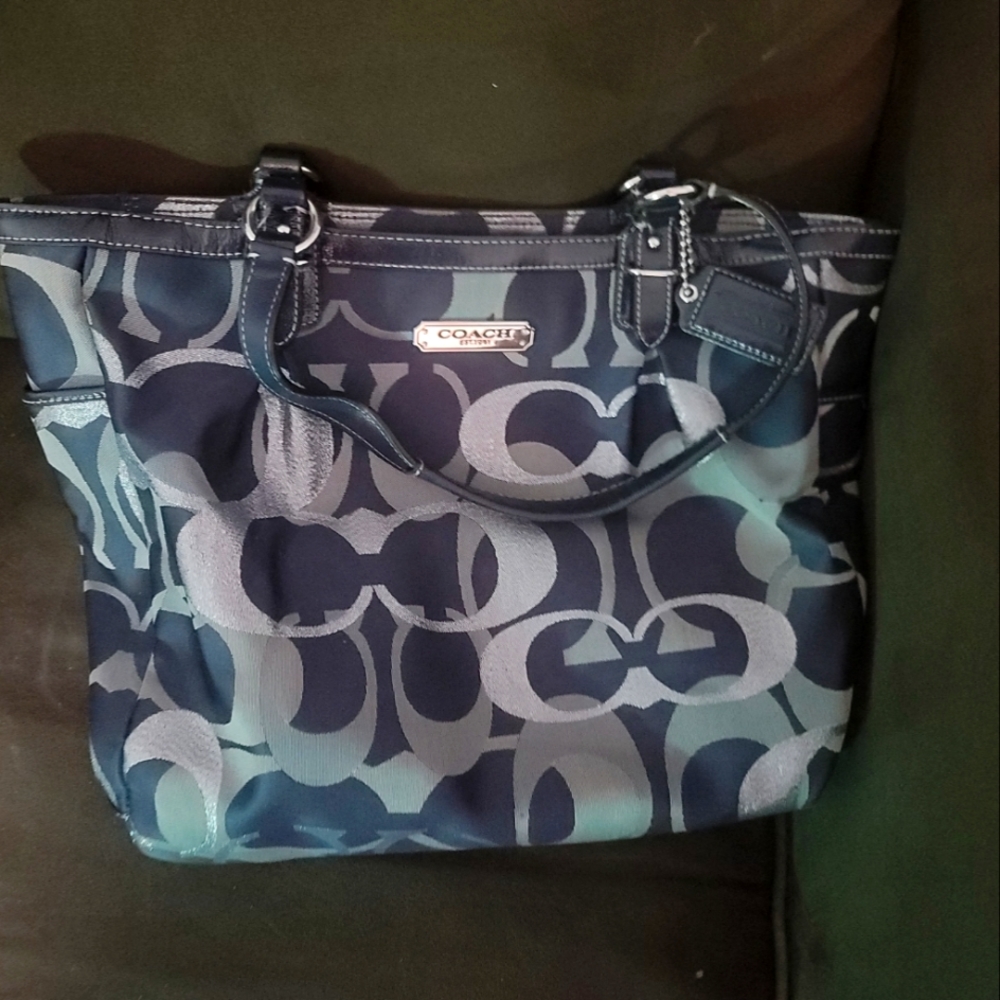 Designer handbags ( Legit)